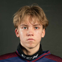 Martins Vītoliņš
