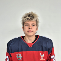 Mihails Šeremetjevs