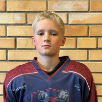 Miķelis Golubovičs