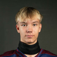 Nils Vītoliņš