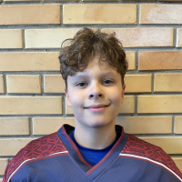 Raiens Linde