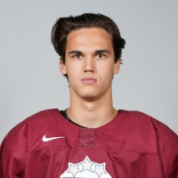 Raimonds Vītoliņš