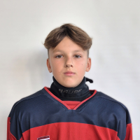 Raitis Zelmenis