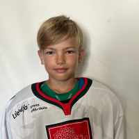 Raivo Štrauss