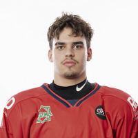 Rihards PURGAILIS