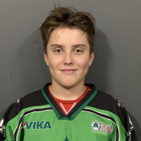 Roberts Liepiņš