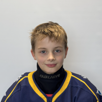 Roberts Melnis