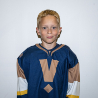 Roberts Virsis