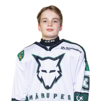 Svens Leons Tērauds