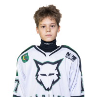 Valerijs Ogorodņikovs