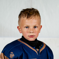 Verners Tauriņš