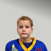 Vladimirs Hohlovs