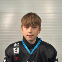 Vladislavs Gornovs